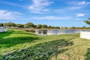 8406 Cherry Branch Dr, Ruskin, FL 33573 - Photo 58