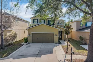 11103 Silver Fern Way, Riverview, FL 33569 - Photo 2