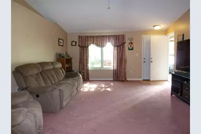 807 Jacaranda Drive, Oldsmar, FL 34677 - Photo 6