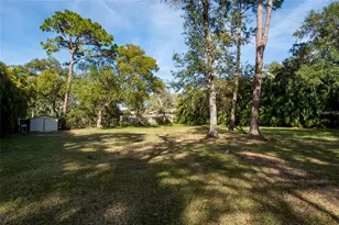1647 Hobbit Rd, Dunedin, FL 34698 - Photo 4