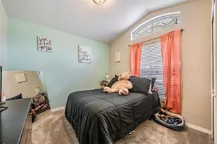 18955 Wood Sage Dr, Tampa, FL 33647 - Photo 12
