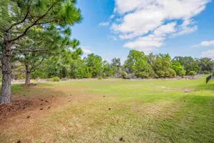 14259 Natures Reserve, Lithia, FL 33547 - Photo 38