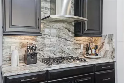 1897 Fox Grape Loop, Lutz, FL 33558 - Photo 28