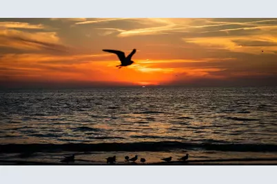 5940 21st Street N #11, Saint Petersburg, FL 33714 - Photo 18