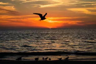 5940 21st St N, Saint Petersburg, FL 33714 - Photo 18