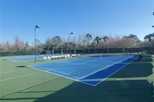 20841 Eustis Rd, Land O Lakes, FL 34637 - Photo 40