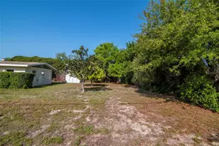 230 Milwaukee Ave, Dunedin, FL 34698 - Photo 54