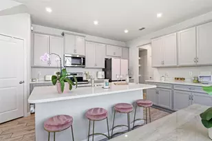 4220 Cloud Hopper Wy, Lutz, FL 33559 - Photo 12