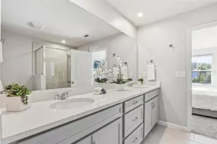 4220 Cloud Hopper Wy, Lutz, FL 33559 - Photo 38