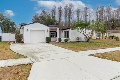 14003 Basin Street, Tampa, FL 33625 - Photo 4