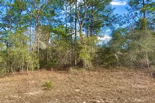 8110 Nordica Rd, Weeki Wachee, FL 34613 - Photo 1