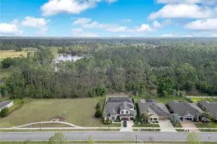 21914 Butterfly Kiss Dr, Land O Lakes, FL 34637 - Photo 46