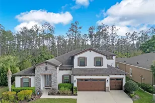 21914 Butterfly Kiss Dr, Land O Lakes, FL 34637 - Photo 44