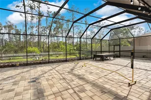 21914 Butterfly Kiss Dr, Land O Lakes, FL 34637 - Photo 36