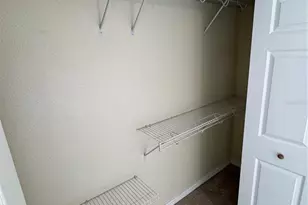 3063 St Clair Ave, Oldsmar, FL 34677 - Photo 26