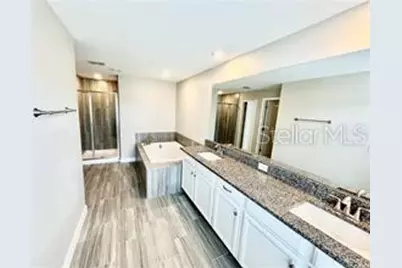 2201 Cerulean Sky Drive, Lutz, FL 33558 - Photo 18