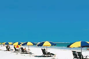 7 Island Park Pl, Dunedin, FL 34698 - Photo 78