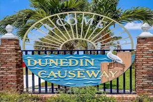 7 Island Park Pl, Dunedin, FL 34698 - Photo 58