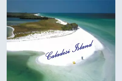 7 Island Park Place #204, Dunedin, FL 34698 - Photo 62