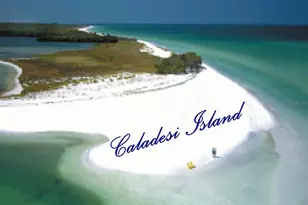 7 Island Park Pl, Dunedin, FL 34698 - Photo 62