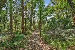 902 River Rapids Ave, Brandon, FL 33511 - Photo 74