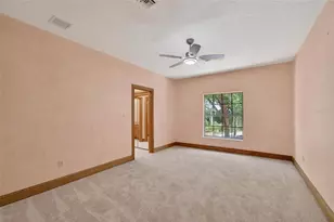902 River Rapids Ave, Brandon, FL 33511 - Photo 58