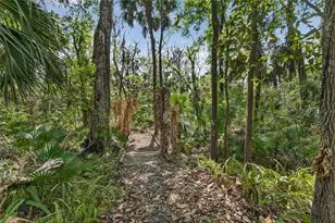 902 River Rapids Ave, Brandon, FL 33511 - Photo 74