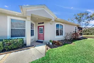 15748 Phoebe Park Ave, Lithia, FL 33547 - Photo 8