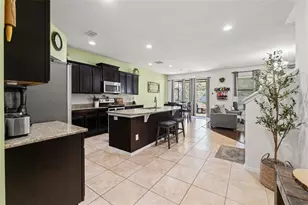 647 Alpine Thistle Dr, Brooksville, FL 34604 - Photo 12