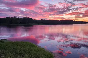 [Address not provided], Tampa, FL 33610 - Photo 1