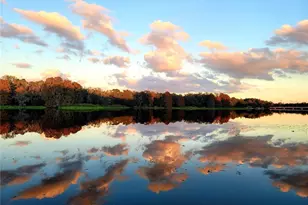 [Address not provided], Tampa, FL 33610 - Photo 50
