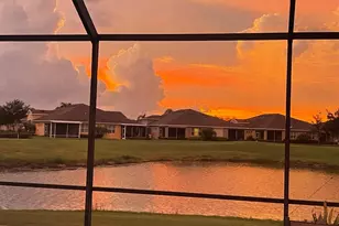 1045 Emerald Dunes Dr, Sun City Center, FL 33573 - Photo 44