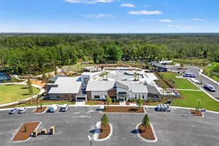 21126 Passive Porch Dr, Land O Lakes, FL 34637 - Photo 34