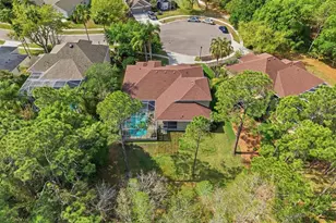 18931 Chaville Rd, Lutz, FL 33558 - Photo 68