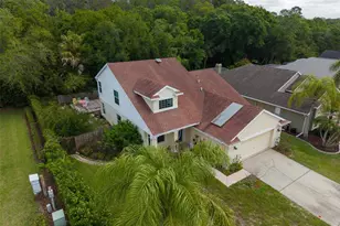 301 Tavernier Dr, Oldsmar, FL 34677 - Photo 48