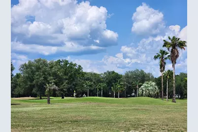 37135 Sandra Avenue, Zephyrhills, FL 33542 - Photo 60