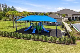 32490 Tree of Life Ave, Wesley Chapel, FL 33543 - Photo 82