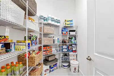 32490 Tree Of Life Avenue, Wesley Chapel, FL 33543 - Photo 26