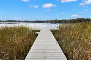 6093 Acara Ln, Land O Lakes, FL 34638 - Photo 36