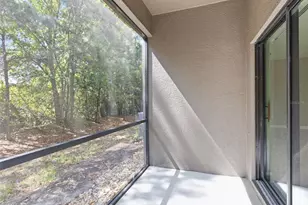 17337 Old Tobacco Rd, Lutz, FL 33558 - Photo 36