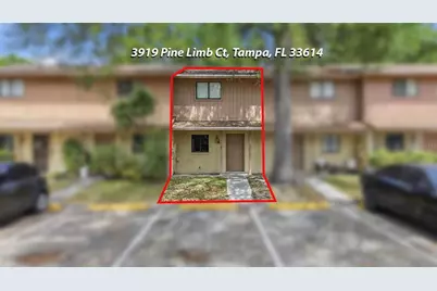 3919 Pine Limb Court, Tampa, FL 33614 - Photo 48