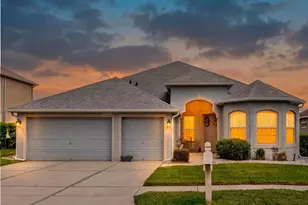 22548 Cliffside Way, Land O Lakes, FL 34639 - Photo 50