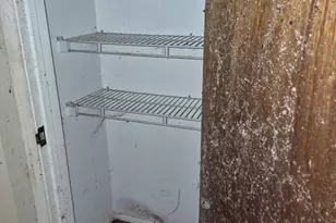 414 S Wiggins Rd, Plant City, FL 33566 - Photo 52