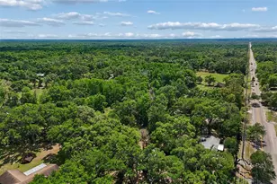 15311 Morris Bridge Rd, Thonotosassa, FL 33592 - Photo 58