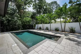 404 Marshall St, Safety Harbor, FL 34695 - Photo 44