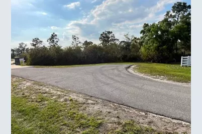 24005 83rd Avenue E, Myakka City, FL 34251 - Photo 8