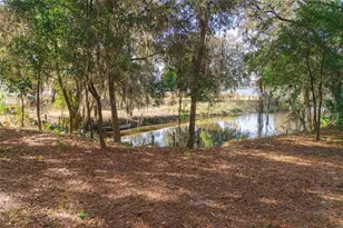 8807 Overlook Dr, Wesley Chapel, FL 33545 - Photo 44