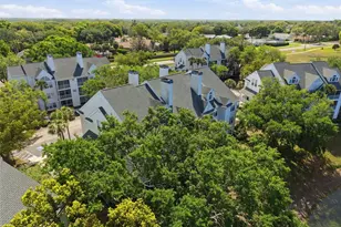 3300 Haviland Ct, Palm Harbor, FL 34684 - Photo 38