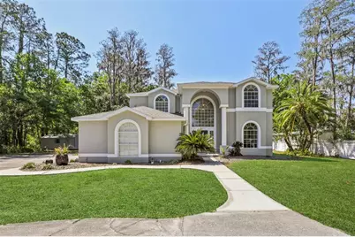 14714 Coloma Lane, Odessa, FL 33556 - Photo 8