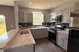 6236 Olivedale Dr, Riverview, FL 33578 - Photo 4